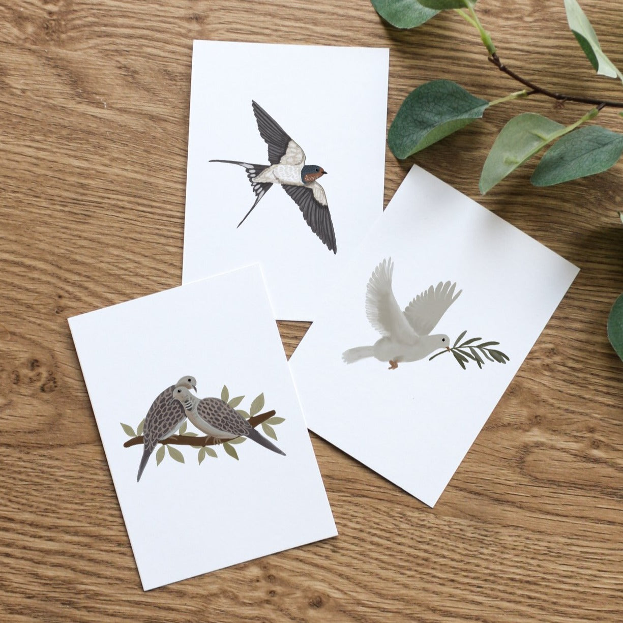 Set of 3 Bird Postcard Prints