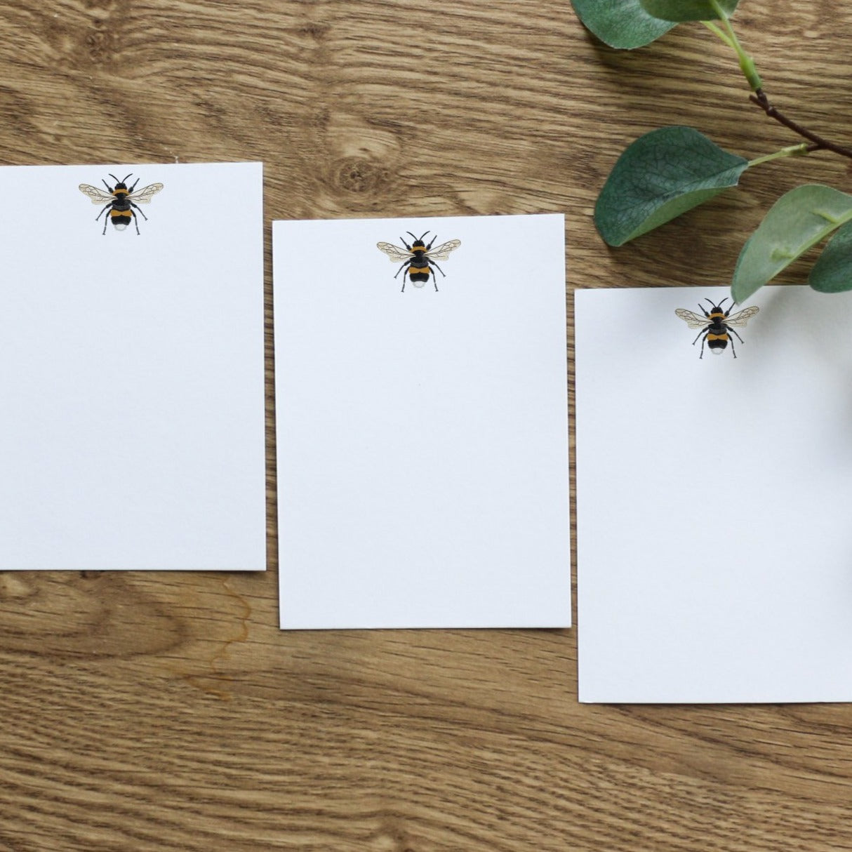 Set of Bumblebee Notecards