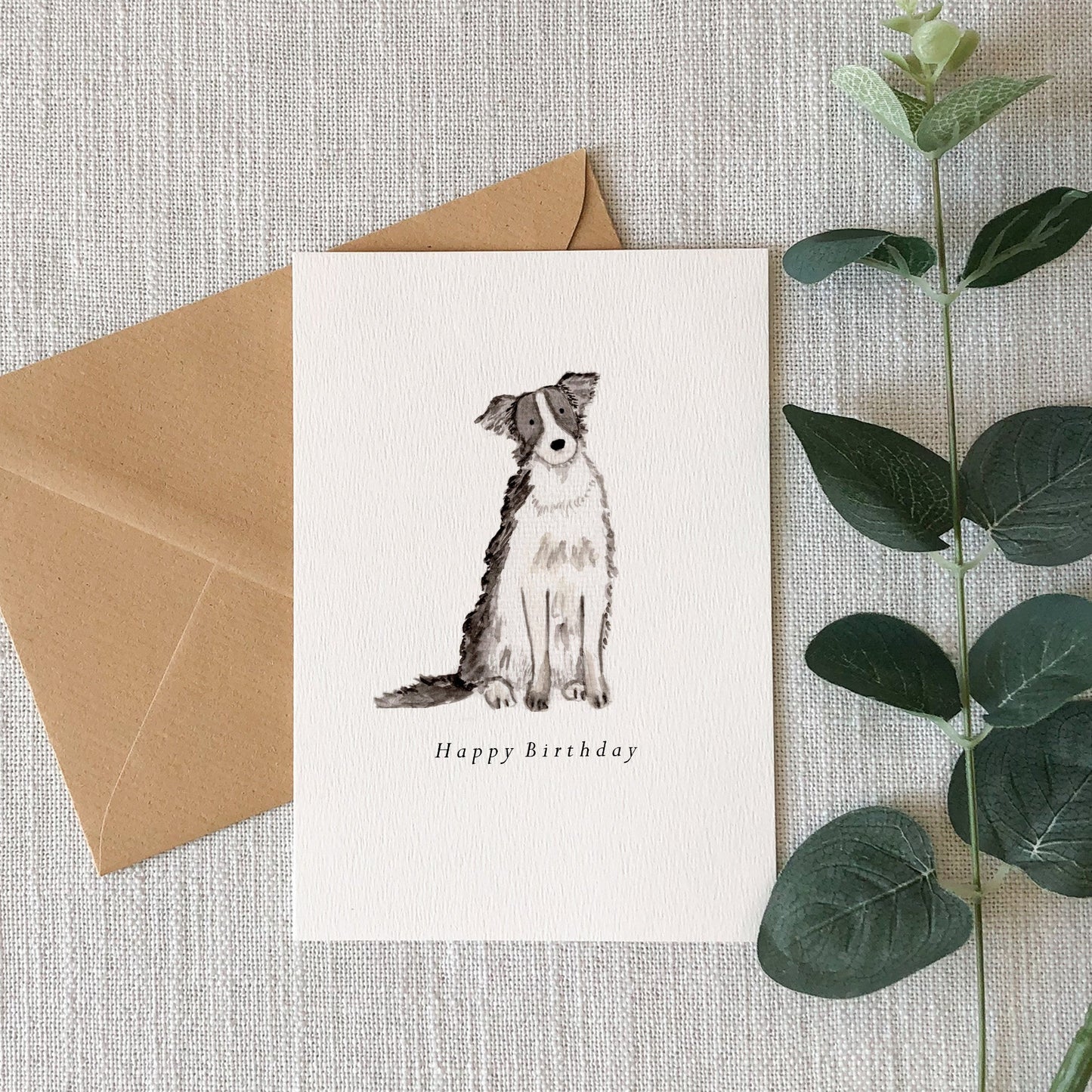 Border Collie Birthday Card