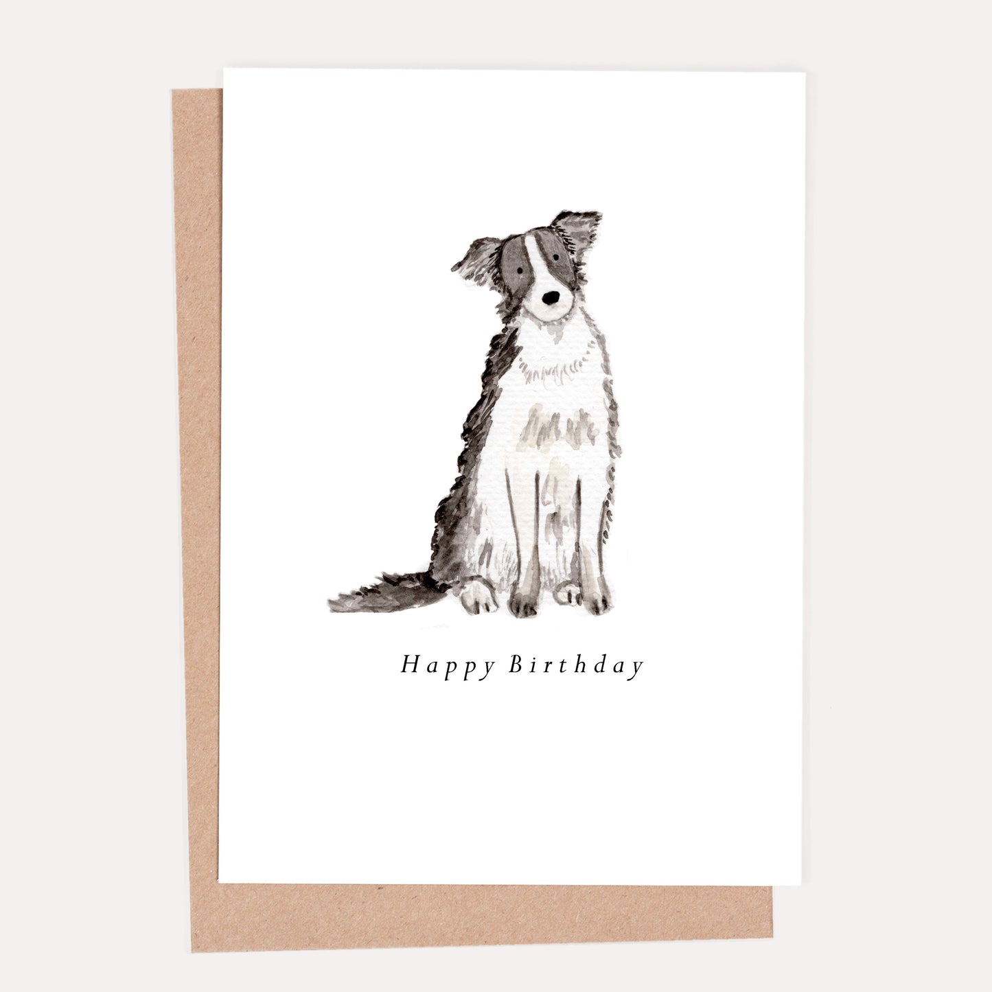 Border Collie Birthday Card