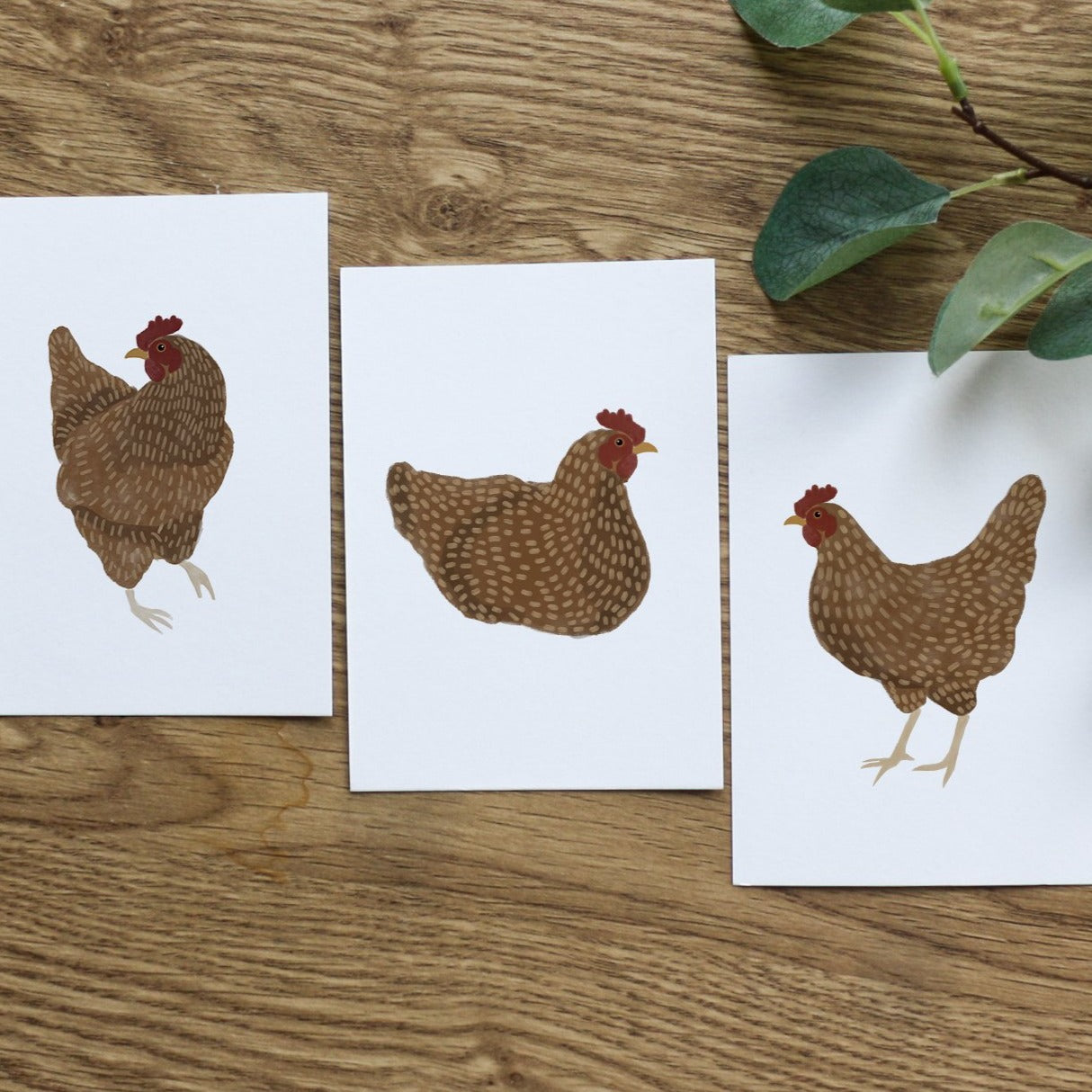 Set of 3 Chicken Postcard Prints