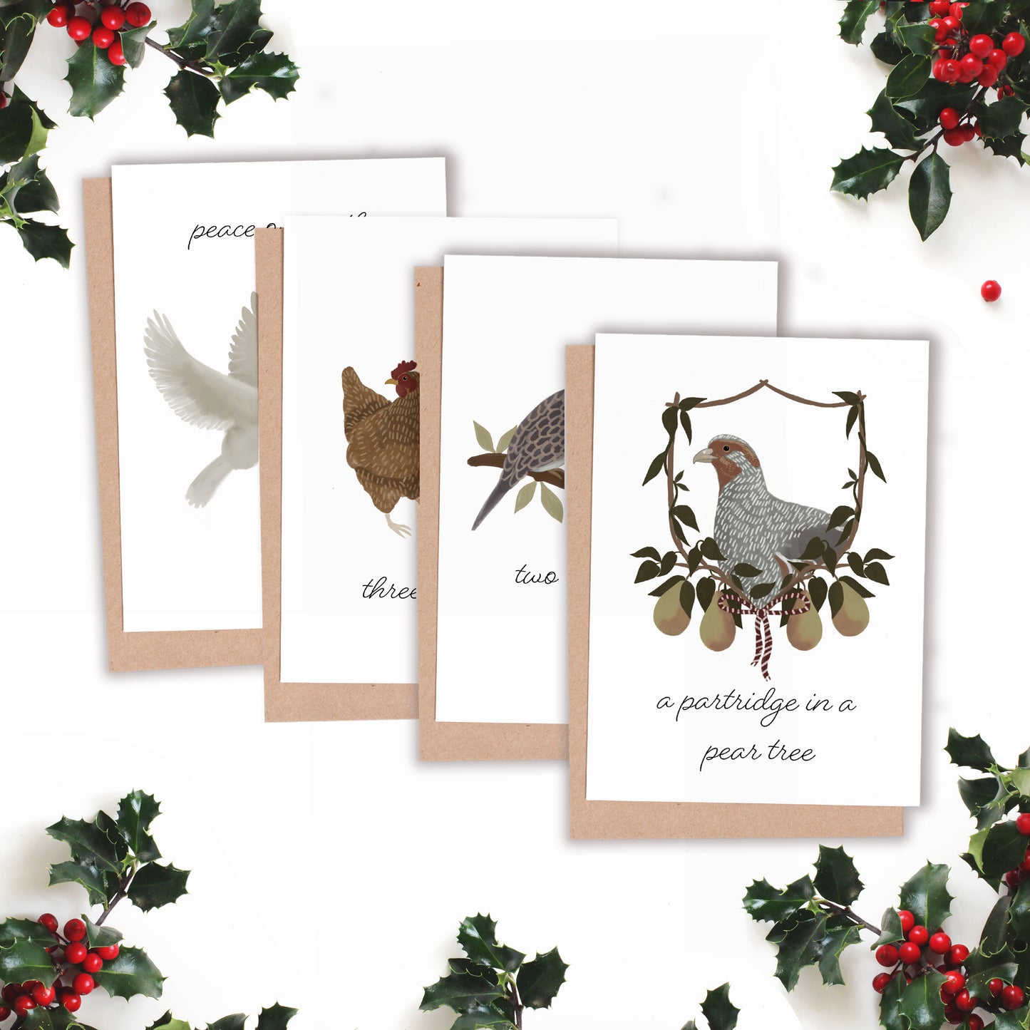 Pack of Assorted Bird Christmas Cards