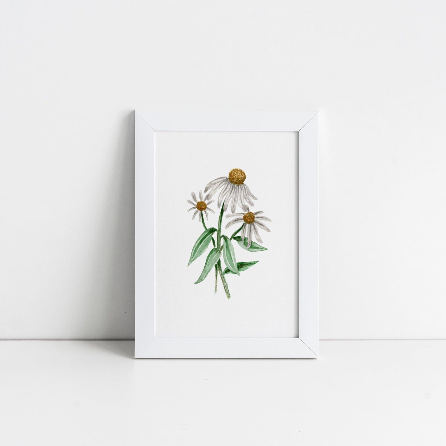 Watercolour Cone Flower Art Print
