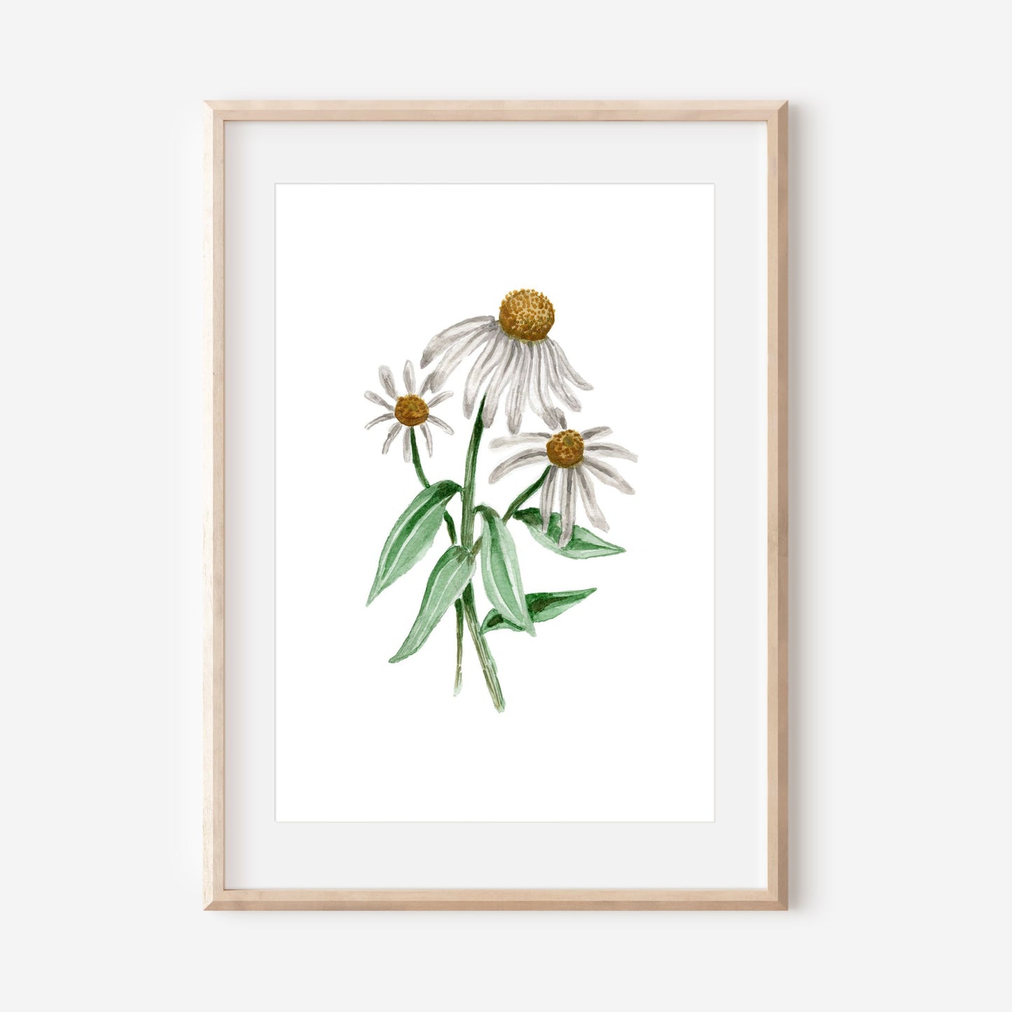 Watercolour Cone Flower Art Print