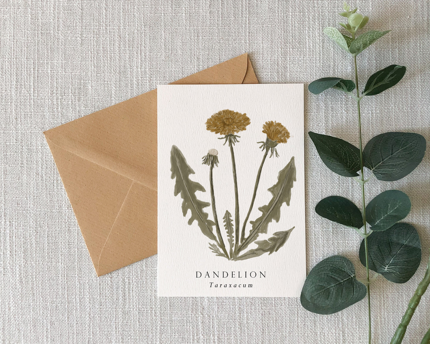 Dandelion Botanical Greeting Card