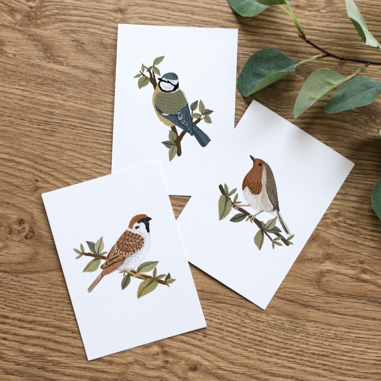 Set of 3 Garden Bird Postcard Prints