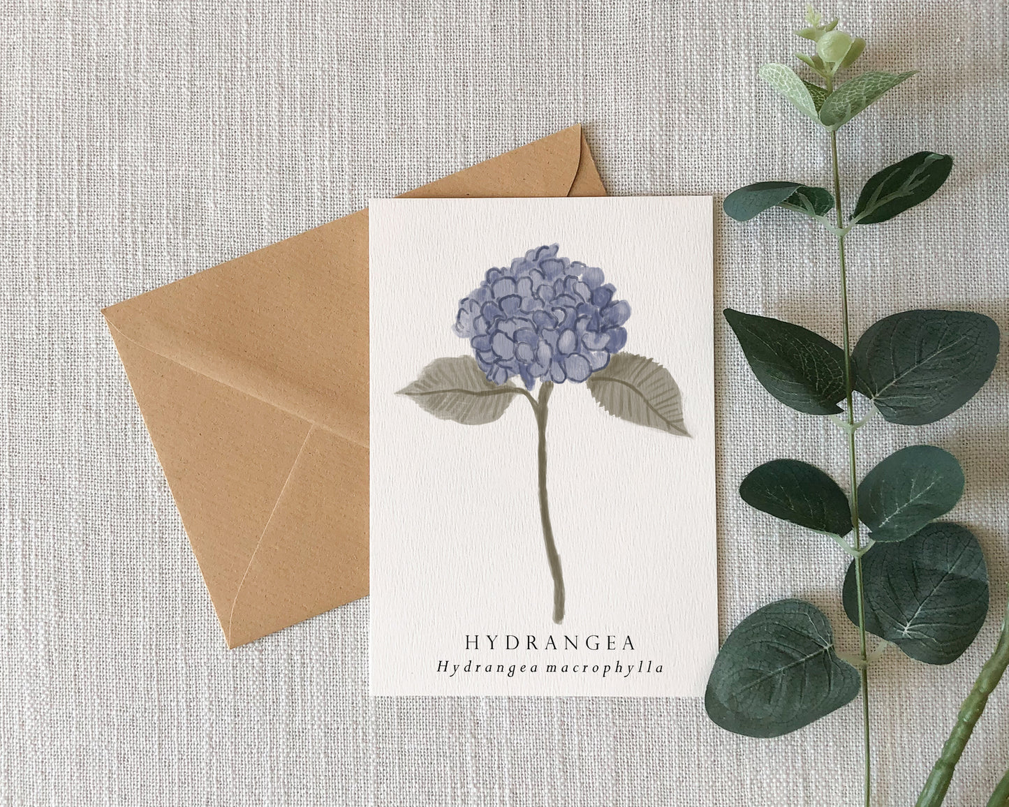 Hydrangea Botanical Greeting Card