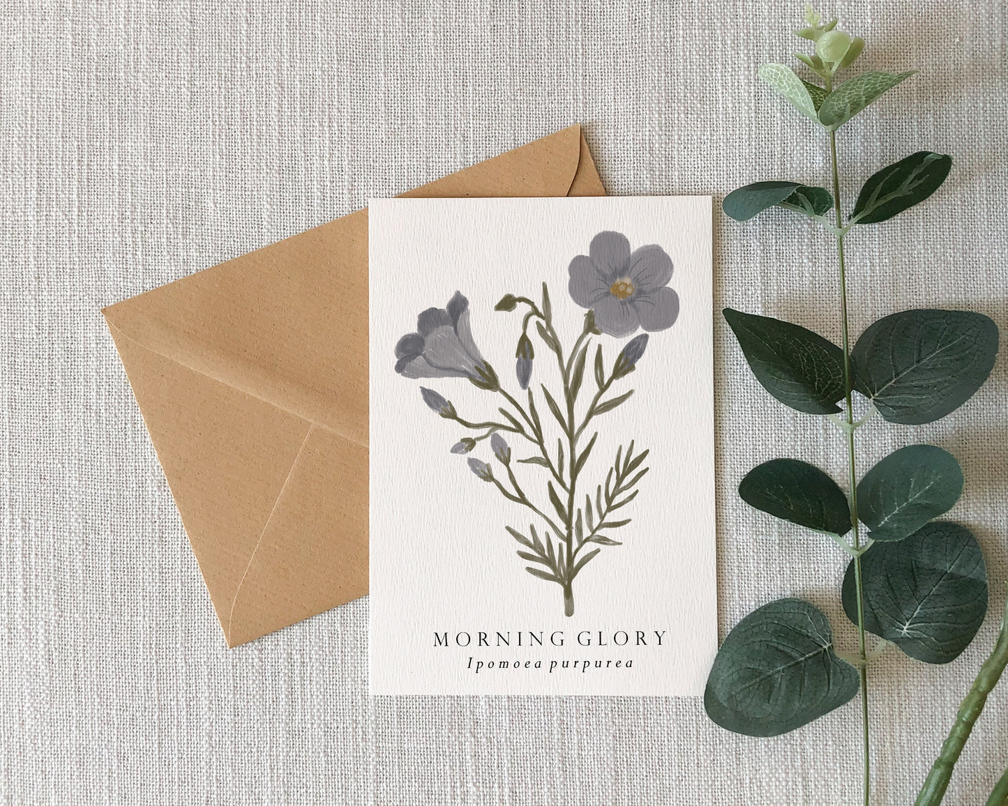 Morning Glory Botanical Greeting Card