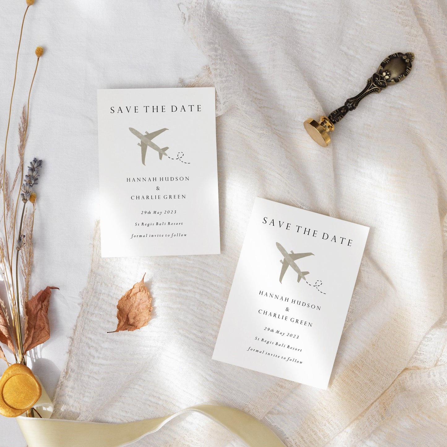 Destination Wedding Plane Save the Date
