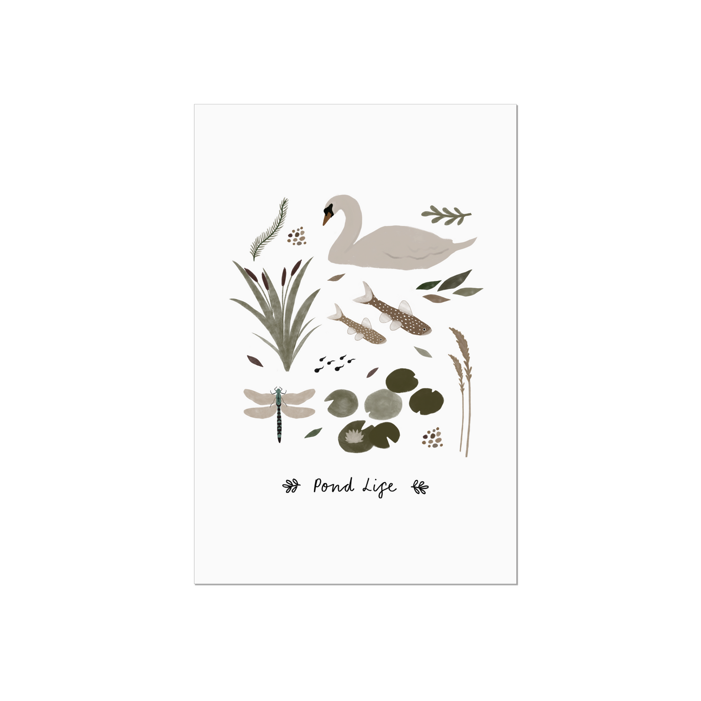 Pond Life Art Print