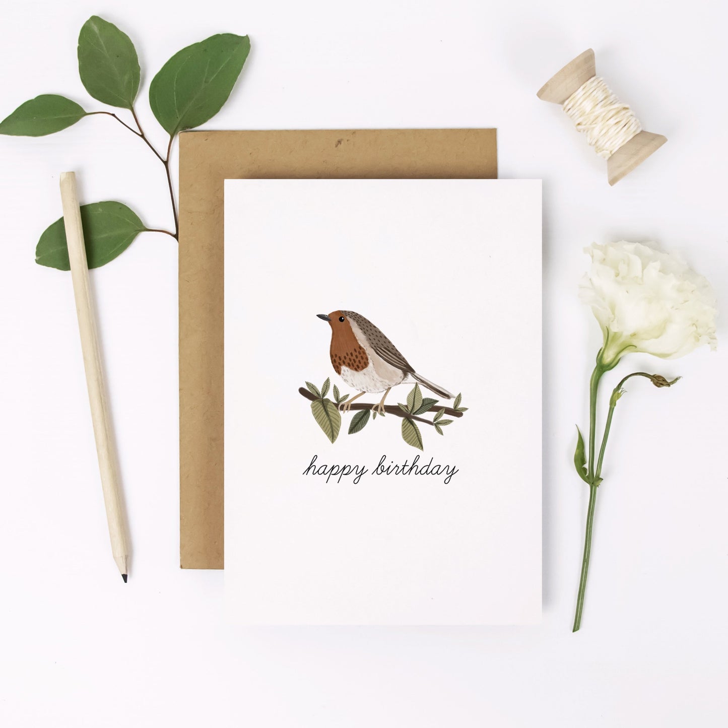 Robin Birthday Card