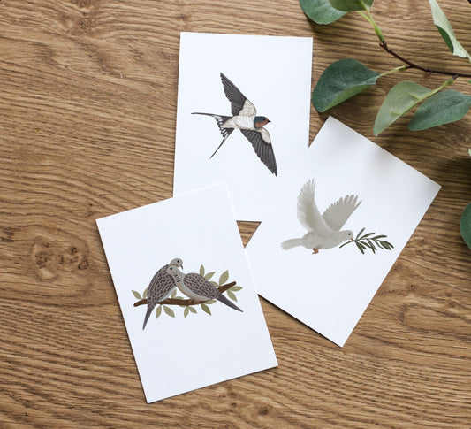 Illustrated bird postcards by HeatherLucyJ. 