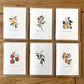 Apple Fruit Birthday Card