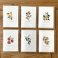 Peach Fruit Birthday Card