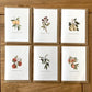 Blackberry Birthday Card