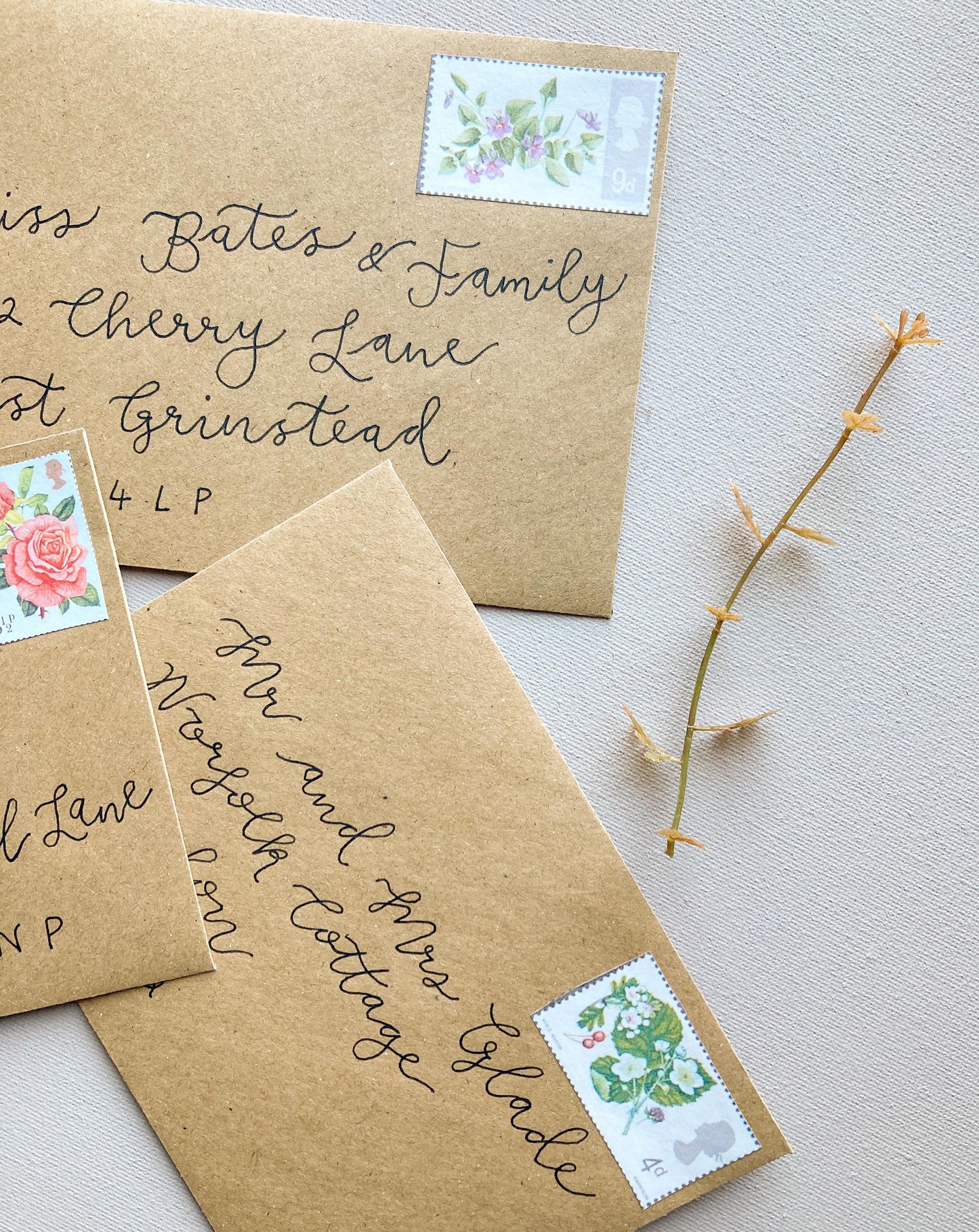 ADD-ON - Hand Calligraphy Envelope Addressing for Wedding Stationery