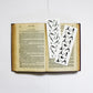 Set of Bookmarks - Wild Swimming & Yoga Design