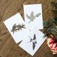 Set of 3 Bird Postcard Prints