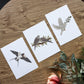 Set of 3 Bird Postcard Prints