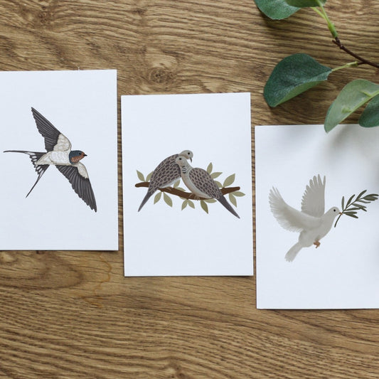 Set of 3 Bird Postcard Prints