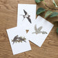 Set of 3 Bird Postcard Prints