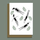 Wild Swimmer Greeting Card Pack