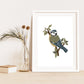 Blue Tit Art Print