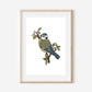 Blue Tit Art Print