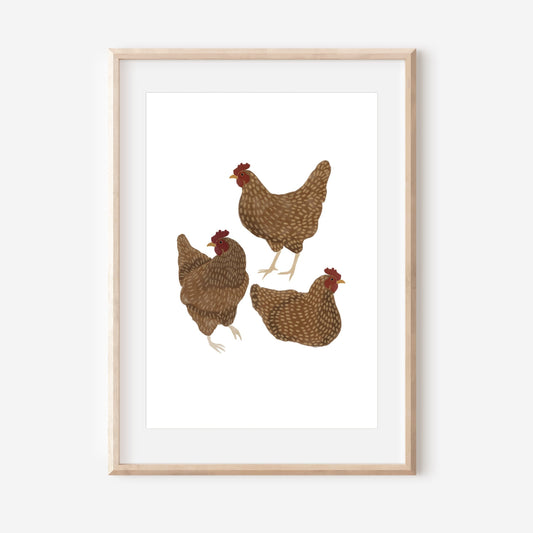 Brown Chickens Art Print