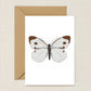 Cabbage White Butterfly Card