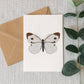 Cabbage White Butterfly Card