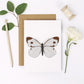 Cabbage White Butterfly Card