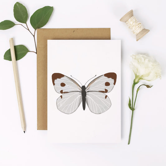 Cabbage White Butterfly Card