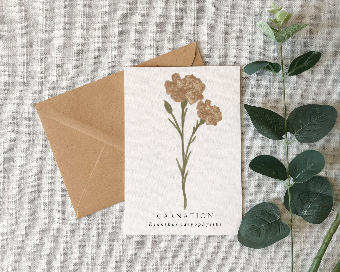 Carnation Botanical Greeting Card