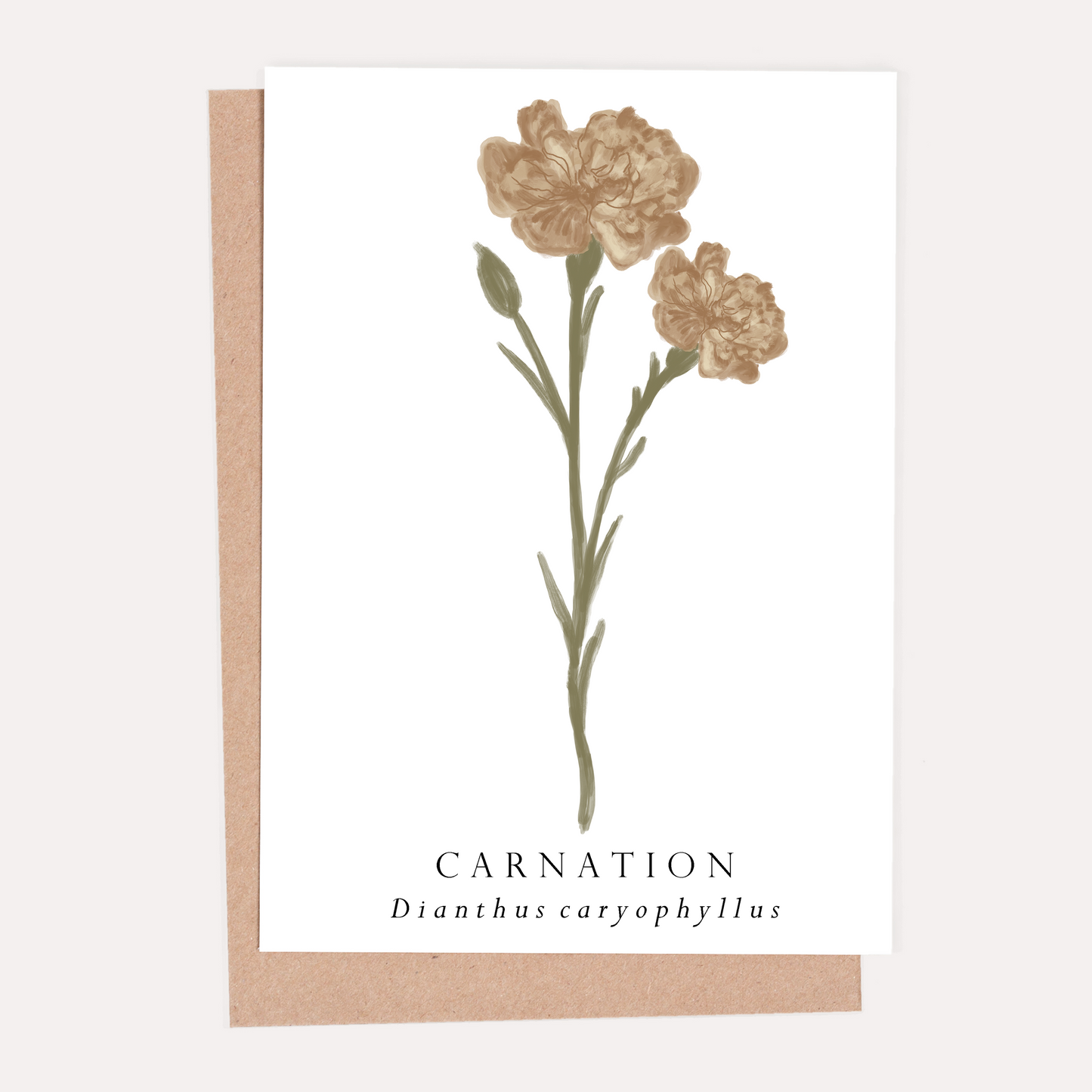 Carnation Botanical Greeting Card