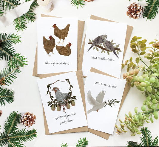 Pack of Assorted Bird Christmas Cards