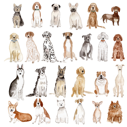 ADD-ON - Custom Pet Portrait for Wedding Stationery