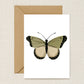 Green & White Butterfly Card