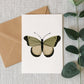 Green & White Butterfly Card