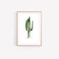 Green Cactus Watercolour Art Print