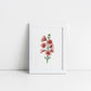Watercolour Hollyhocks Art Print