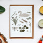Pond Life Illustrated Greeting Card