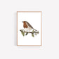 Set of 3 Garden Bird Art Prints