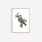 Set of 3 Garden Bird Art Prints
