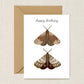 Happy Birthday Moth Card