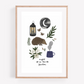 Night in the Garden Art Print