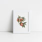Watercolour Peaches Art Print