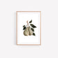 Pear Watercolour Art Print