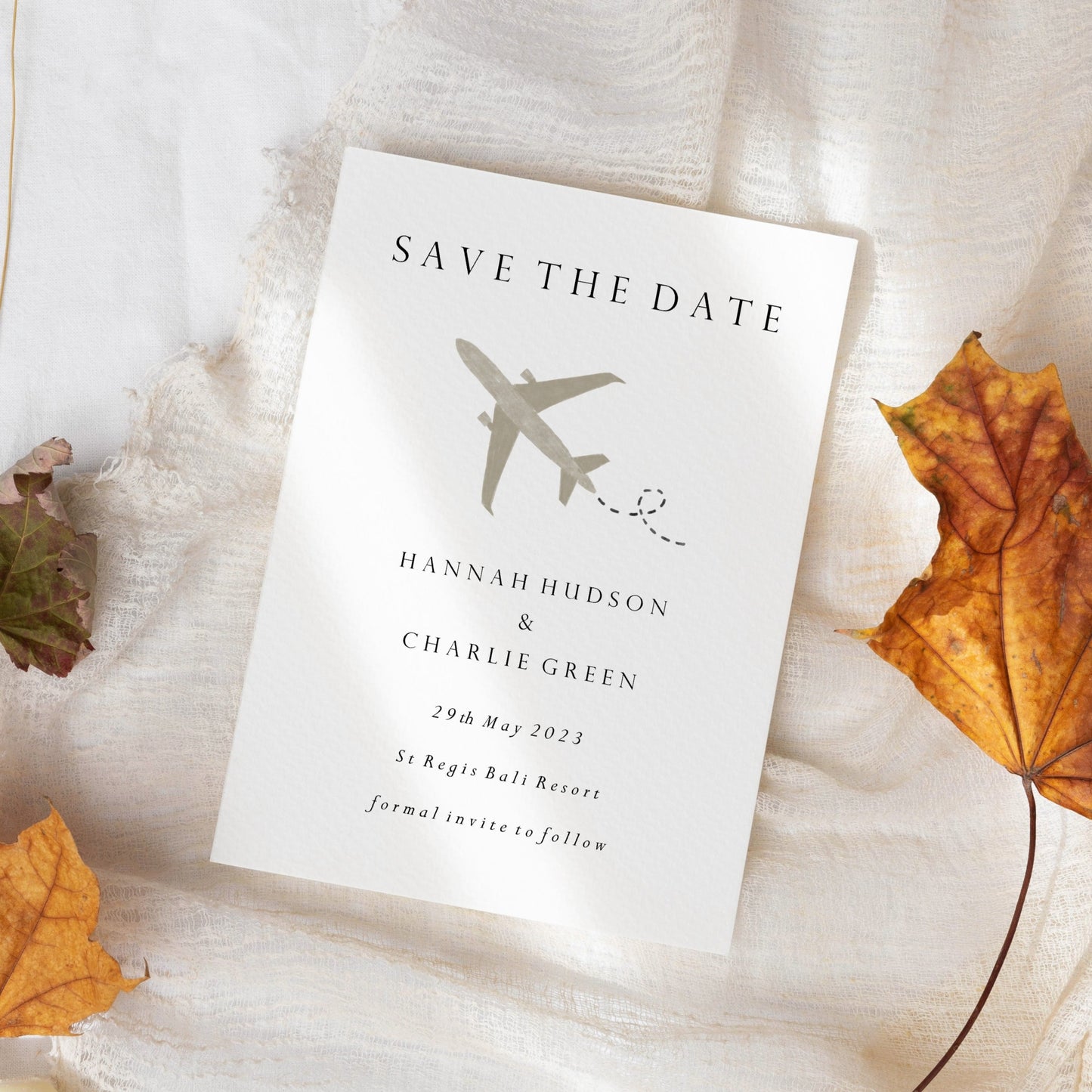 Destination Wedding Plane Save the Date