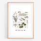 Pond Life Art Print